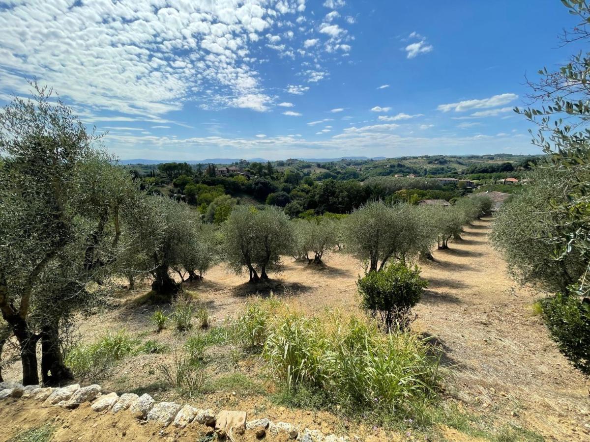 Oliveta Del Verde Appartamento Con Grande Giardino 500Mt Dal Centro Siena Exterior photo